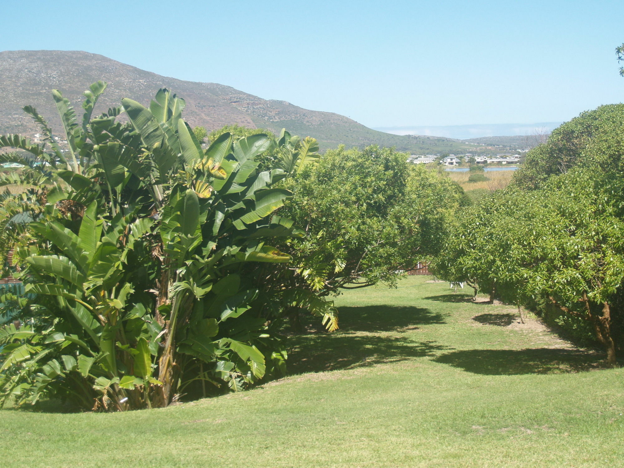 Horizon Cottages Noordhoek Exterior foto